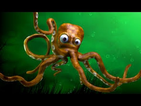 Oktapodi super gjigant ''1 Prill 2016''