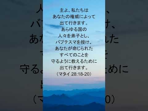 動画を再生