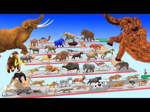 The Ultimate Battle 44 Wild Animals vs Prehistoric Mammals Speed Race Run Zigzag Down Course!