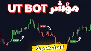 ضاعف أرباحك مع مؤشر UT Bot | أقوى أداة بيع وشراء على TradingView