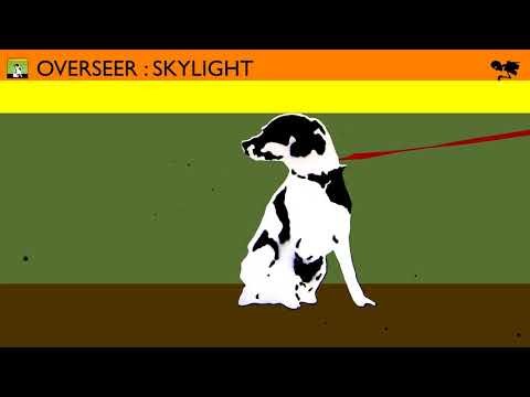 Overseer - Skylight
