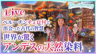 Micco's Journey がライブ配信中! ペルーチンチェロに来ています〜 アルパカ リャマがいるよ