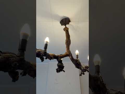 Vidéo