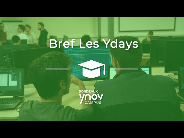 Bref les Ydays // Mastère Directeur Artistique