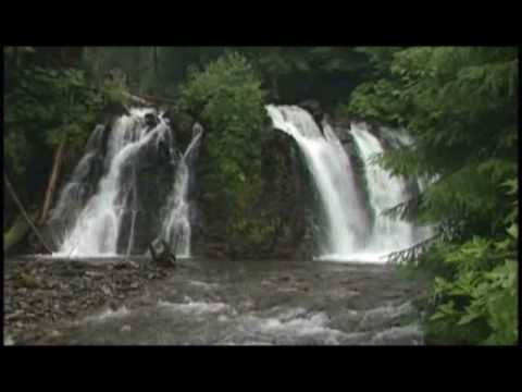 los 4 pilares del amor