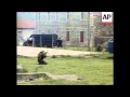 MONTENEGRO SPECIAL POLICE FORCE TRAINING EXERCISES