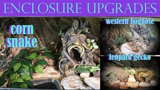 ENCLOSURE UPGRADES | Corn Snake, Western Hognose, & Leopard Gecko