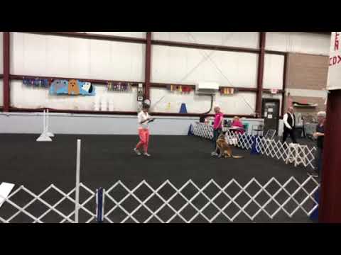 Saju wins CDSP Open and Earns His CDX-C