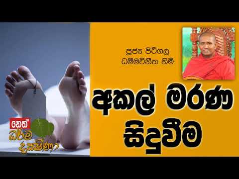 Darma Dakshina 2019.08.14 - Pitigala Dammawinitha Himi