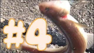 【釣り】二人で釣り納めに行ってきた2017 part04【アウトドア】