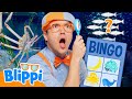 Can You Find The Sea Creatures With Blippi Fun Ocean Search