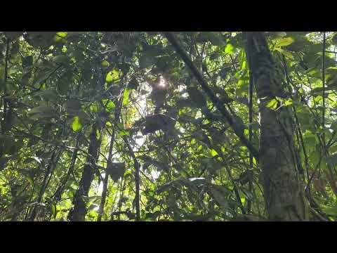 2  Autopsie E70   Der Yosemite Killer Hörspiel