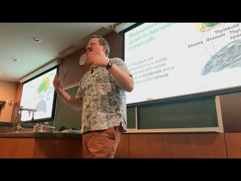 BIOL 105 Lecture 20 10/12/26