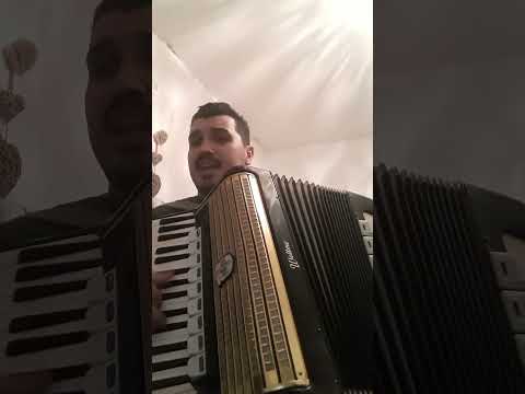El totul-mie la acordeon amator