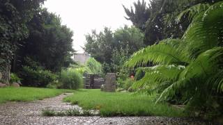 The Swans - God damn the sun