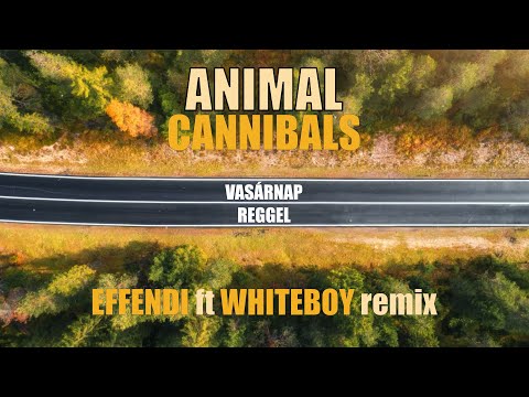 Animal Cannibals - Vasárnap reggel (Effendi ft Whiteboy remix)