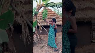 African Village life