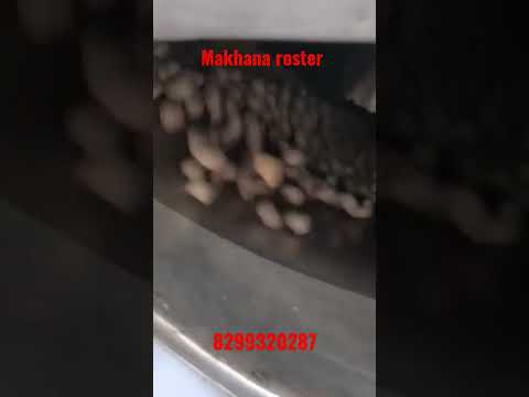 Dried Fruit Roasting Machine