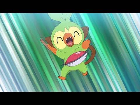 Goh Catches Grookey! - Pokemon Master Journeys The Series