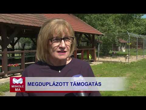 Videó előnézet