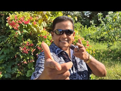 Devanand Gattoo - Bahay Ankhiyo Se Dhar [Official Music Video] (2026)