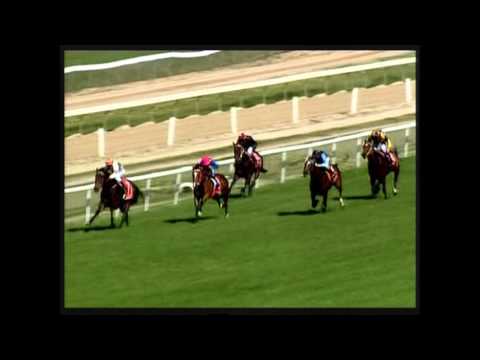 kuda race only no 1     mpg2     53mb