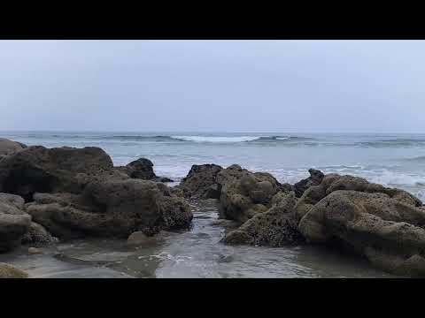 8 Hours of Ocean Waves at San Diego | Relaxing Nature Sounds for Sleep, Study, Meditation
