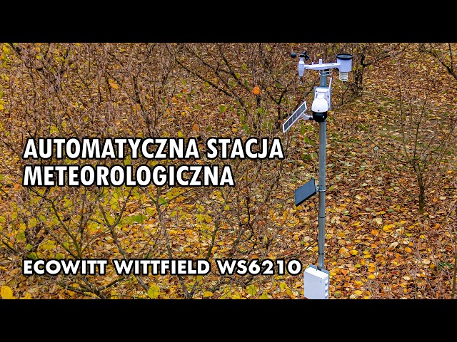 Judge.me YouTube video placeholder