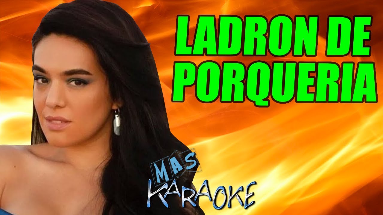 LADRON DE PORQUERIA
