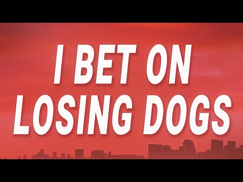 Mitski - I Bet on Losing Dogs (Lyrics)