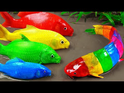 Best Of Small Fish Recipe | MINIATURE Fish Cooking Made EASY with Simple Recipe
