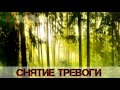 Медитация для снятия страха и тревоги. Восстановление нервной системы (Vol Belor Edition 2017) Медитация для снятия страха и тревоги. Восстановление нервной системы (Vol Belor Edition 2017)