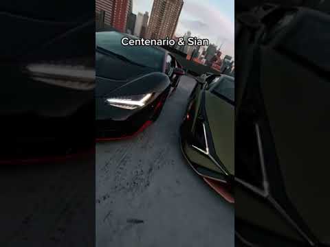 #lamborghini #shorts #cars #love #🔥🔥🔥 #trending #hashtags