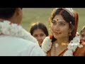 Sai Pallavi Tribute Video Dhi Originals