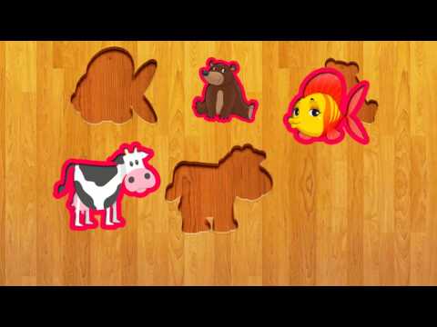 Kids Animal Puzzle Educational Video