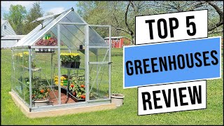 Best Greenhouses in 2026 | Top 5 Best Greenhouse (Buying Guide)