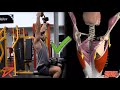 How to Do a Lat Pulldown + Common Mistake