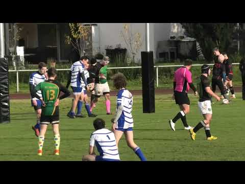 RLP 7s Rugby: SV Südwest Ludwigshafen gegen Rugbclub Mainz