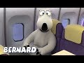 Bernard Bear Plane Trouble AND MORE Cartoons For Children Full Episodes