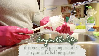 Day in the Life of an Exclusively Pumping Mom - 4 Pumps Per Day