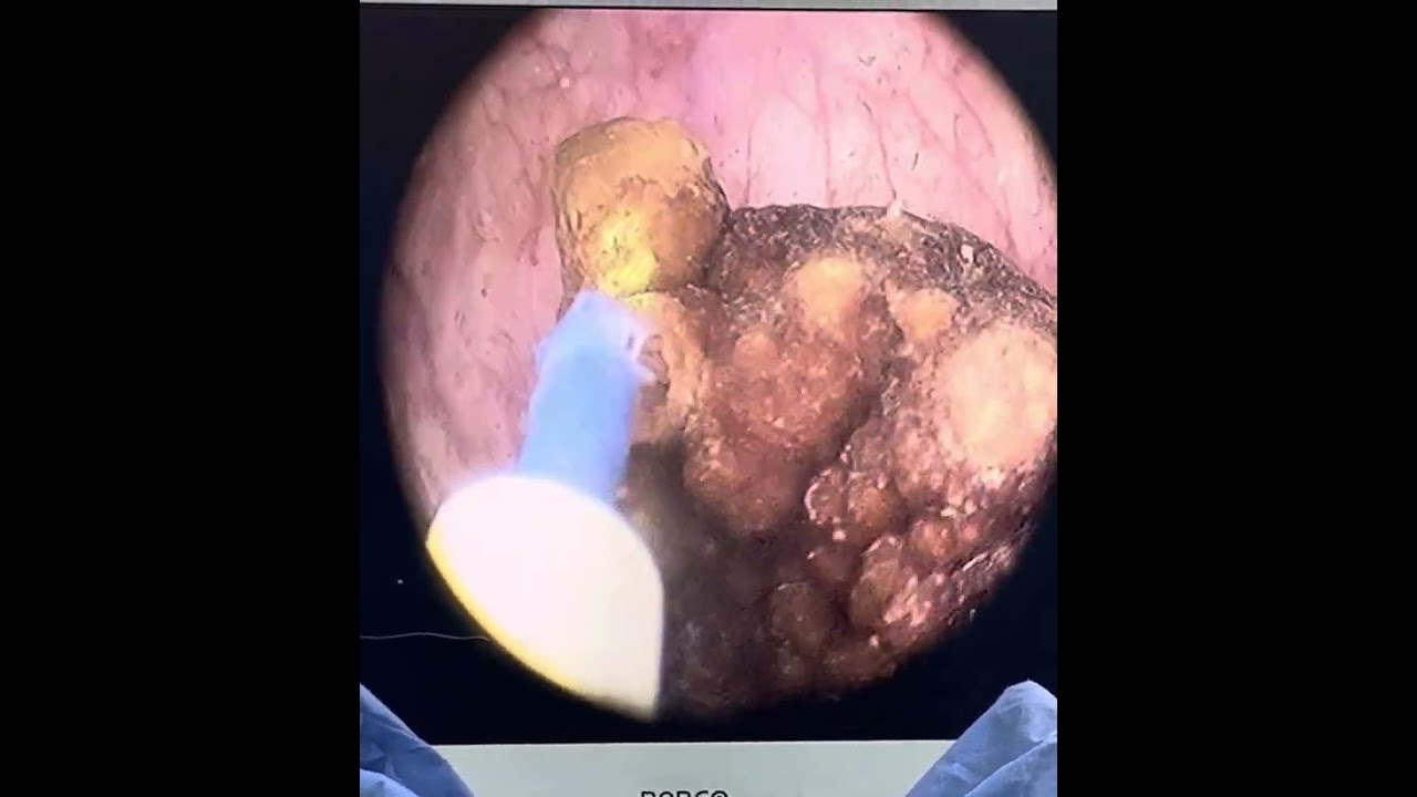 Sofía Alejandra Zubieta García-4