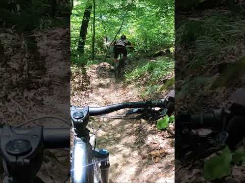 Gnarly mtb trail! Funny crew. Mountain biking #shorts