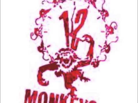 12 monos-tema principal