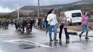 💥Las Tudancas toman las calles💥