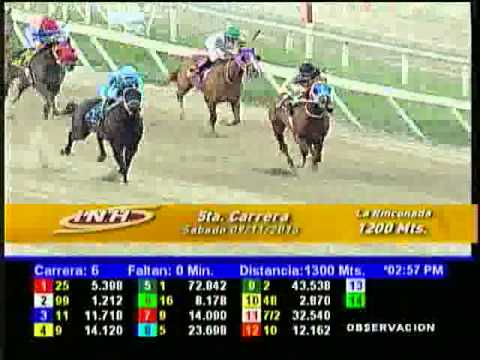 Resumen Sábado, 09 de Noviembre de 2013 - La Rinconada