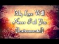 My Love Will Never Fail You - Marie Hines ...