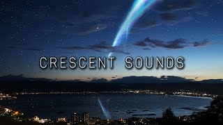 Brandon Wolf Hill - FLY