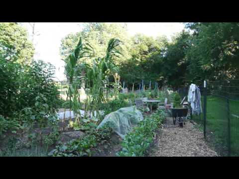 Jackson Park's urban garden Jackson Park's urban garden