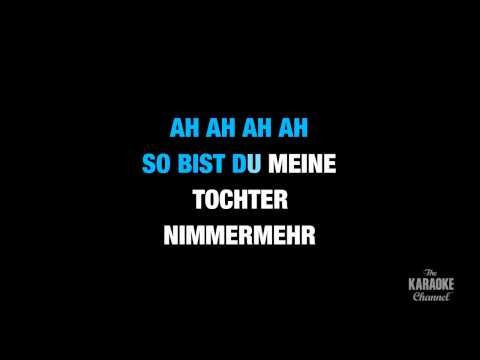 Der Hölle Rache in the Style of "Traditional" karaoke video with lyrics (no lead vocal)
