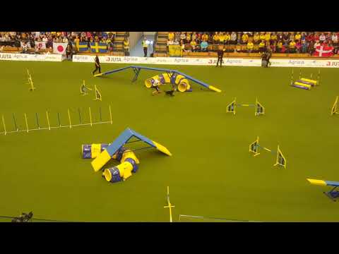 KIRA Bernarda Debus Redzic Large Agility AWC 2018